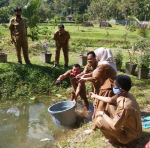 Dinas Pertanian Kota Padang Motivasi Pemanfaatan Lahan Belum Produktif