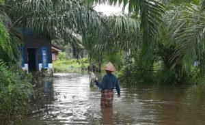 Gasan Ketek Direndam Banjir, Ketinggian Air Dalam Rumah 30 cm