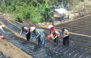 Wali Nagari Koto Tinggi dan Wakapolsek Baso, Tanam Perdana Bawang Merah