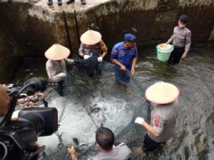 Direktur Reskrimum Polda Sumbar Panen Ikan, dan Ikuti Berbagai Kegiatan di Kabupaten Agam