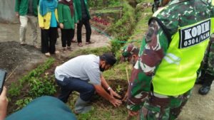Forkopinca Sungai Pua, Mahasiswa Tanam Buah dan Penghijauan
