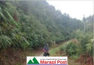 Demi Meningkatkan Kesejahteraan, Dusun Limau Abuang Berharap Peningkatan Jalan
