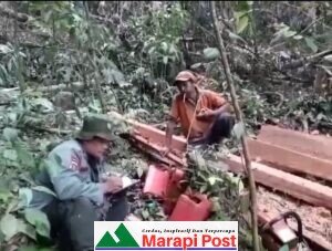 Hutan Lindung Harau Dibabat, Yahdi Menyesali, Kenapa Sekarang Dipermasalahkan
