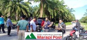 Ninik Mamak Bawan dan Tiku V Jorong Menyetop Panen Sawit PT. AMP di AMP II