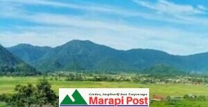 Warga Kamang Magek Turun Kehutan, Cari 86 Warga Limapuluh Kota Yang Hilang