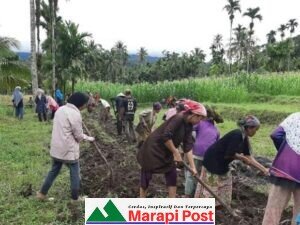 Kecamatan Malalak, Kabupaten Agam, Bangun 600 Meter Jalan Usaha Tani