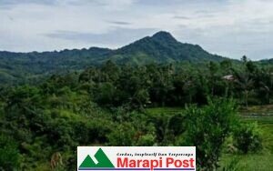 86 Orang Rombongan Kabupaten Limapuluh Kota Hilang Dihutan
