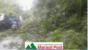 Jalan Simpang BK Pasar Lama Lubuk Basung-Batu Kambing Tak Terawat, Hati-hati