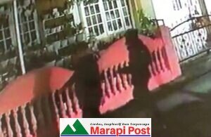 Bisnis Bunga Berkembang di Kota Bukittinggi, Pencuri Bunga Juga Gentayangan