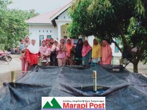 Dasawisma Kampung Tangah Manfaatkan Lahan Budidaya Tanaman