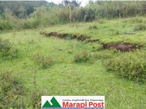 Waspada Tanah Bergerak di Kecamatan Palupuh, Kabupaten Agam, Sumbar