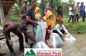 Dinas Perikanan dan Ketahanan Pangan Agam, Tahun 2021 Kembangkan Spesies Gurami Masang