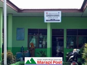 Pengakuan Kepala SD Negeri 06 Surabayo, Kecamatan Lubuk Basung, Dana BOS Habis Untuk Pembayar Honor Guru, Hingga Sulit Beli Kertas dan Alat Kesehatan