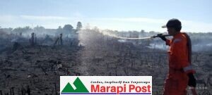 Api Diam-diam Membakar Kebun Sawit Rakyat, Akhirnya Ketahuan, Tim Pemada Gusar, Api Sulit Dibujuk