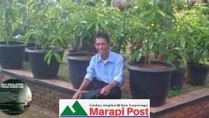 Duka Menyelimuti Kabupaten Agam, Sumatera Barat, Setelah Kecelakaan Lalulintas, Dilansir Berita, Helios Rinondeva Meninggal Dunia