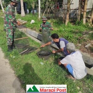 Satgas TMMD Mentawai Membimbing Warga Budi Daya Lele Mendukung Program Ketahanan Pangan