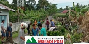 Jorong Parik Panjang Lubuk Basung, Kabupaten Agam Goro, Tebang Pohon Mengganggu Jalan Raya
