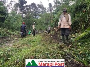 Warga Jorong Mudiak, Nagari Duo Koto, Tanjung Raya, Goro Membersihkan Jalan Dukung Pertanian
