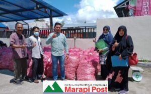 Kabupaten Agam Terima 7 Ton Bibit Bawang Putih Untuk Dibudi Dayakan di Kecamatan Matur dan Tilatang Kamang