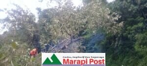 Kelok 44 Maninjau, Perumahan Villa Tiara, Tidak Luput Didera Bencana Alam, Kalak BPBD Didamping Kabid KL Turun ke Lapangan