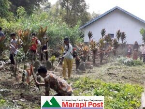 Anak kemenakan Dt. Ketumanggungan dan Dt. Ketumanggungan Nan Elok Goro Bersama Membersihkan Pandam Pekuburan
