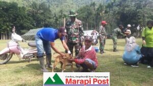 Kerjasama OPD, Satgas TMMD Suntik Rabies