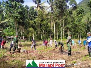 TMMD/N Limapuluh Kota Kerjasama Dengan Kelompok Buka Lahan Baru