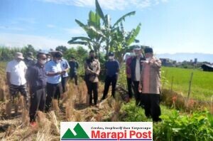 Bupati Agam Tinjau Lokasi Rencana Kampus Universitas M. Natsir
