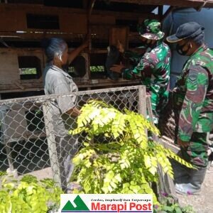 Selain Membantu, Satgas TMMD Belajar Beternak Kelinci Dengan Warga