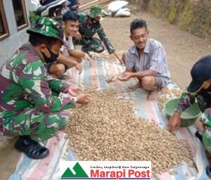 Satgas TMMD/N ke 111 Lakukan Komsos Dengan Petani Kacang