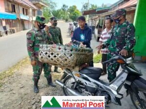 Satgas TMMD/N ke-111 Komunikasi Sosial Dengan Pedagang Ayam