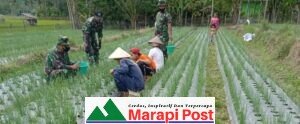 TMMD/N Kodim 0306/50 Kota Saling Berbagi Ilmu Sama Petani Daun Bawang