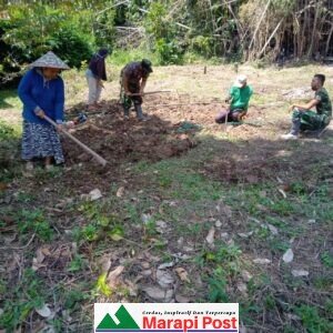 Anggota Satgas TMMD/N ke-111 Komsos ke Ladang Lintasan Jalan Baru