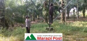 Malang Nasib Warga, Ia Ditemukan Tergantung di Tower Listrik