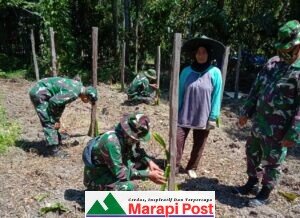 Anggota Satgas TMMD Belajar Budidaya Tanaman Naga Dengan Petani