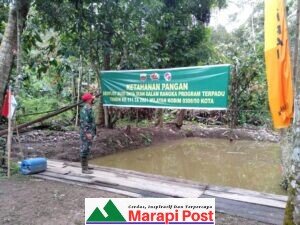 Komandan Rayon Militer 02/Pangkalan Kunjungi Lokasi TMMD/N ke 111