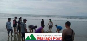Warga Tiniti, Sigapokna Temukan Mayat di Pantai Uman Ngorut