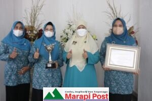 Pasaman Barat Raih Penghargaan APE Tahun 2020 Kategori Madya