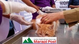 Hari Vaksin Sedunia, Diperta Agam Siapkan Vaksin Hewan 500 Dosis