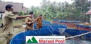 Kepala Desa Saureinu Bangun Kolam Percontohan Ikan Air Tawar