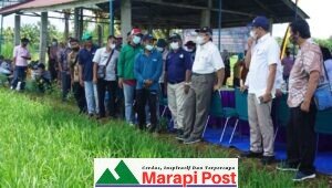 Deputi III Bidang Perekonomian Kepala Staf Kepresidenan ke Pasbar