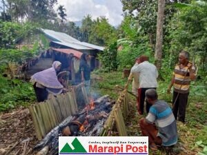 Malamang, Tradisi Masih Membudaya di Solok Selatan