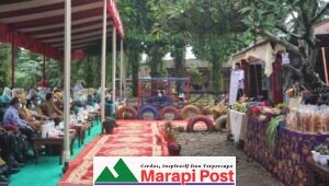 Posyandu Pepaya 1B, Wakili Pasbar Lomba Posyandu Tingkat Sumbar