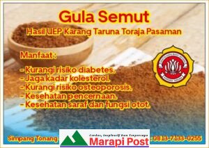 Gula Semut Karang Taruna Toraja Dipamerkan Pada Expo Produk UMKM