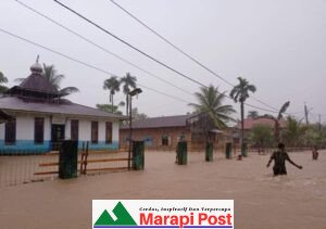 Banjir Tapan, 600 Unit Rumah Warga Terdepak