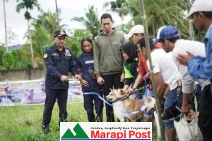 Bupati Resmikan Alek Buru Babi Solsel, Diikuti Sumbar, Bengkulu, Jambi, Riau