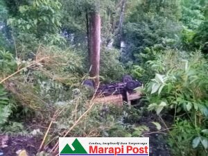 Hujan Gerimis, Jalan Licin, Dam Truk Masuk Jurang di Siguhung