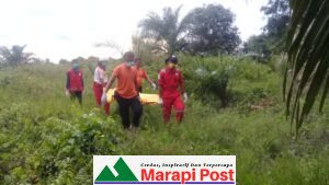 Mayat Tanpa Identitas Ditemukan di Jorong Labuhan Tiku V Jorong
