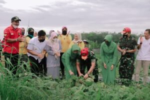 Dandrem 032 Wirabraja Puji, Kecantol Melon Dharmasraya