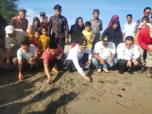 Wabup Risnawanto Bersama Kelompok Konservasi Lepas Tukik Kelaut Maligi